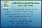 Asesoria-Castellana-de-Seguros